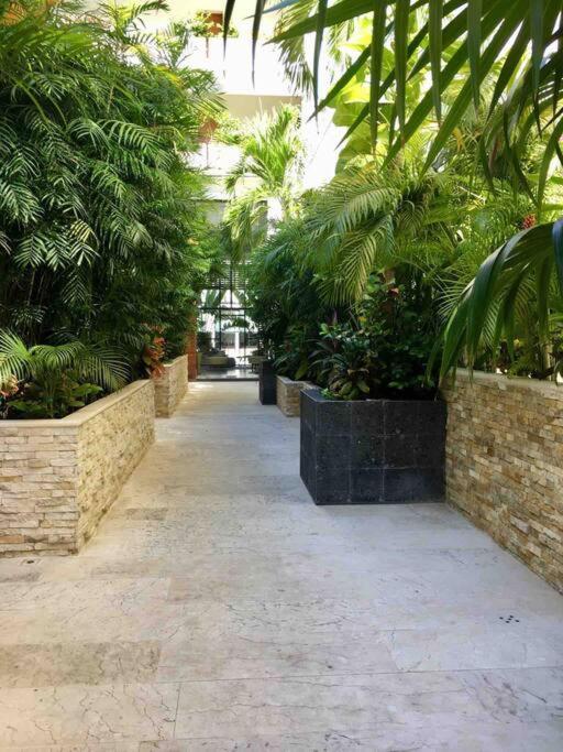 Your Exclusive Studio In The City - Top Amenities & Services For Free!! Playa del Carmen Kültér fotó