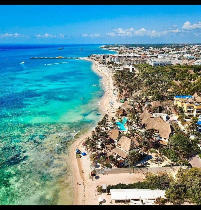 Your Exclusive Studio In The City - Top Amenities & Services For Free!! Playa del Carmen Kültér fotó