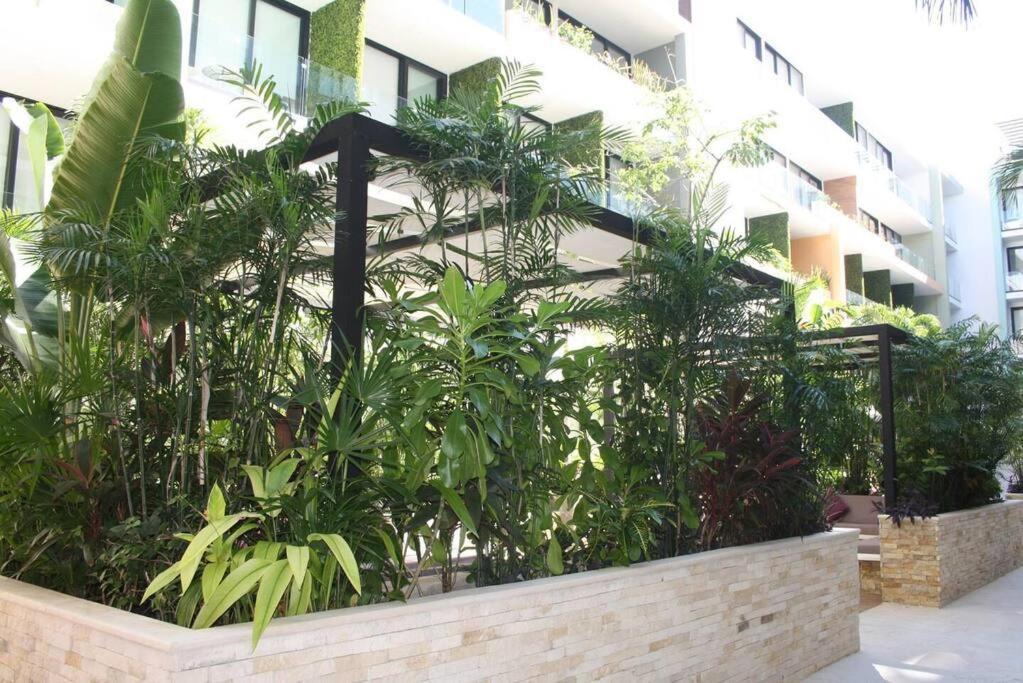 Your Exclusive Studio In The City - Top Amenities & Services For Free!! Playa del Carmen Kültér fotó